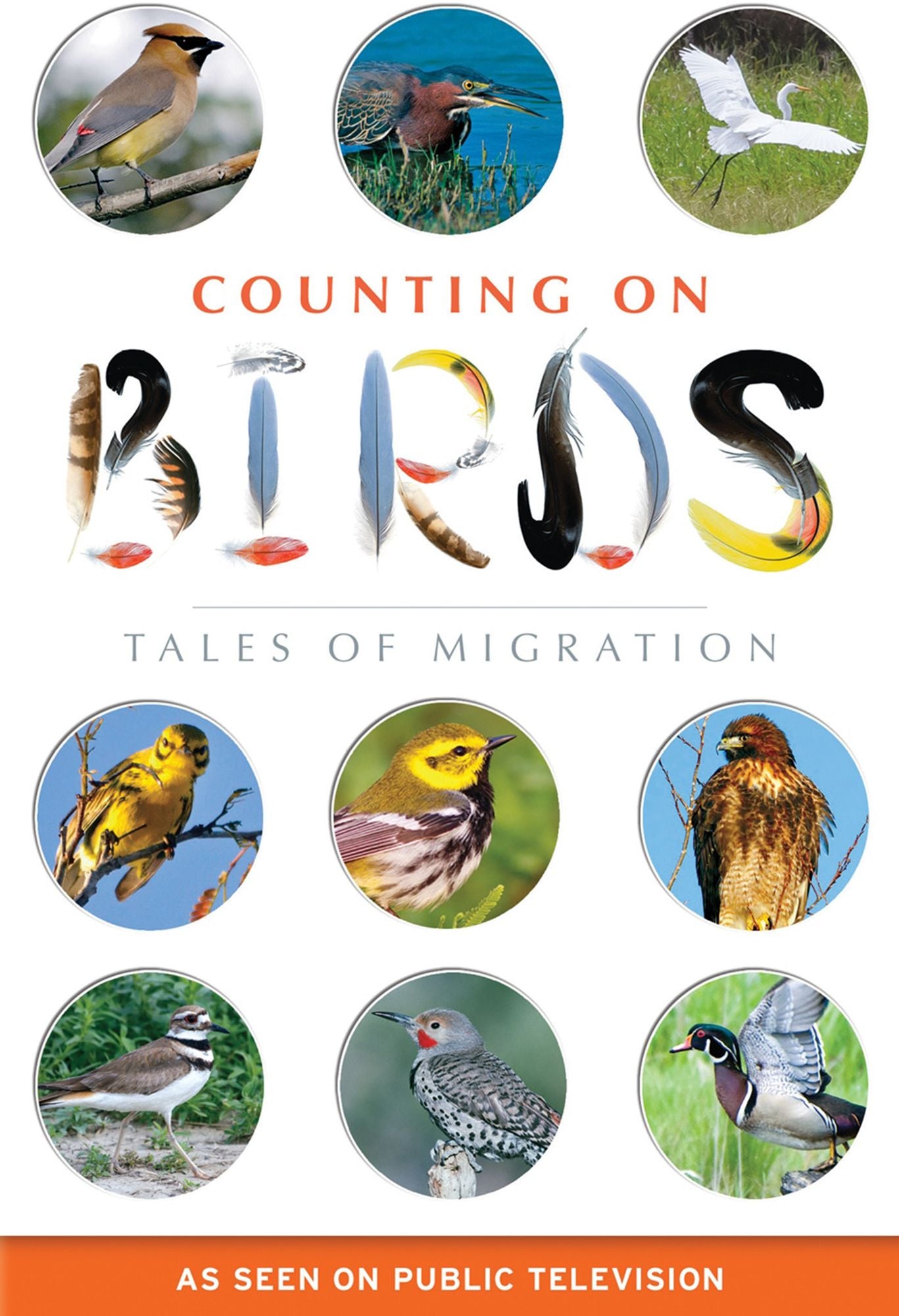 COUNTING ON BIRDS: TALES OF MIG