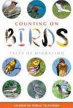 COUNTING ON BIRDS: TALES OF MIG