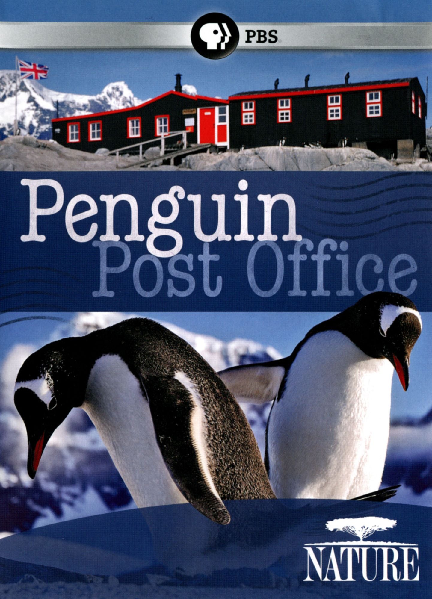 NATURE: PENGUIN POST OFFICE
