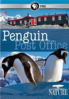 NATURE: PENGUIN POST OFFICE