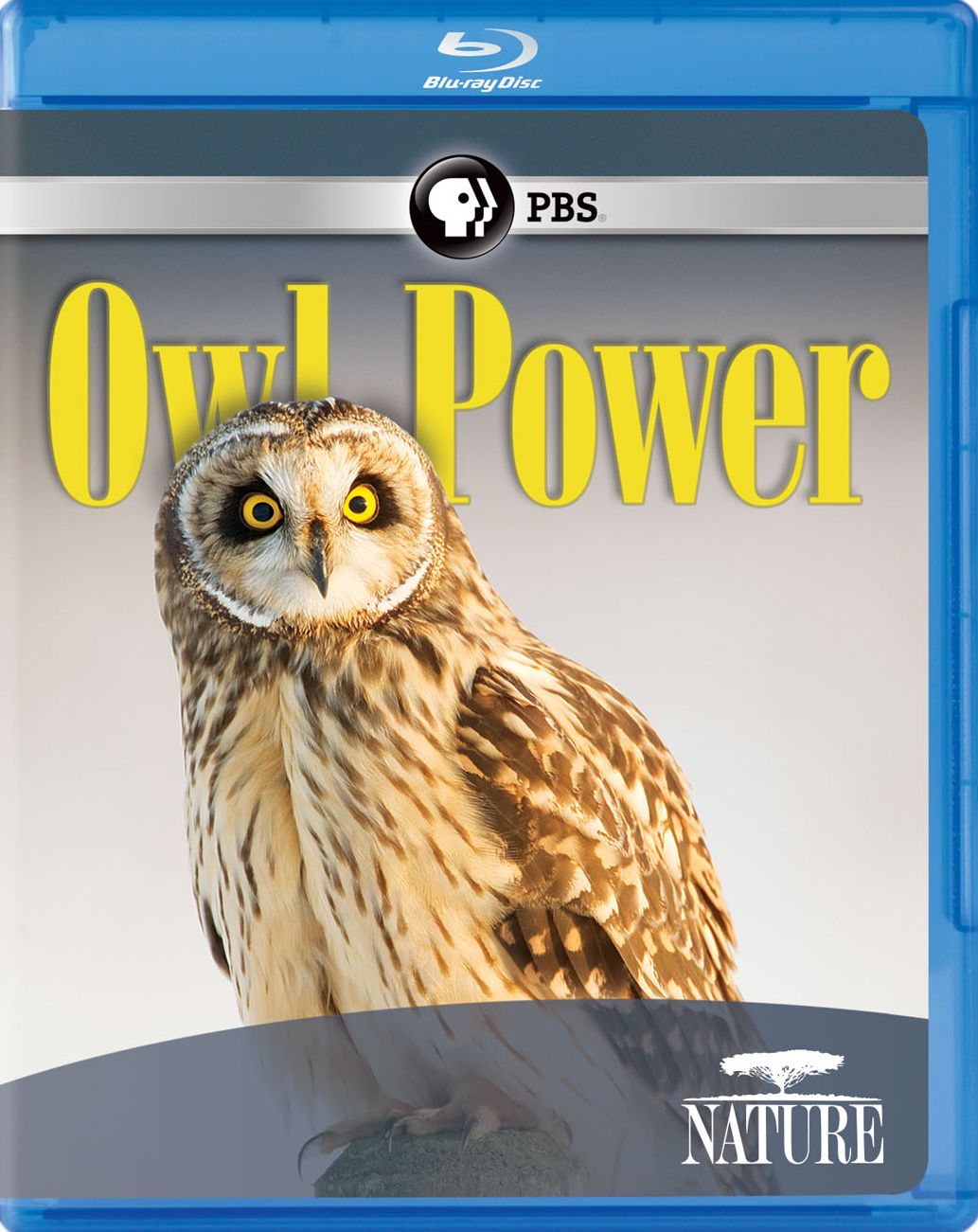 NATURE: OWL POWER (BR)