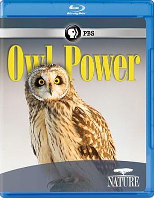 NATURE: OWL POWER (BR)