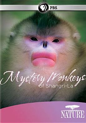 MYSTERY MONKEYS OF SHANGRI-LA