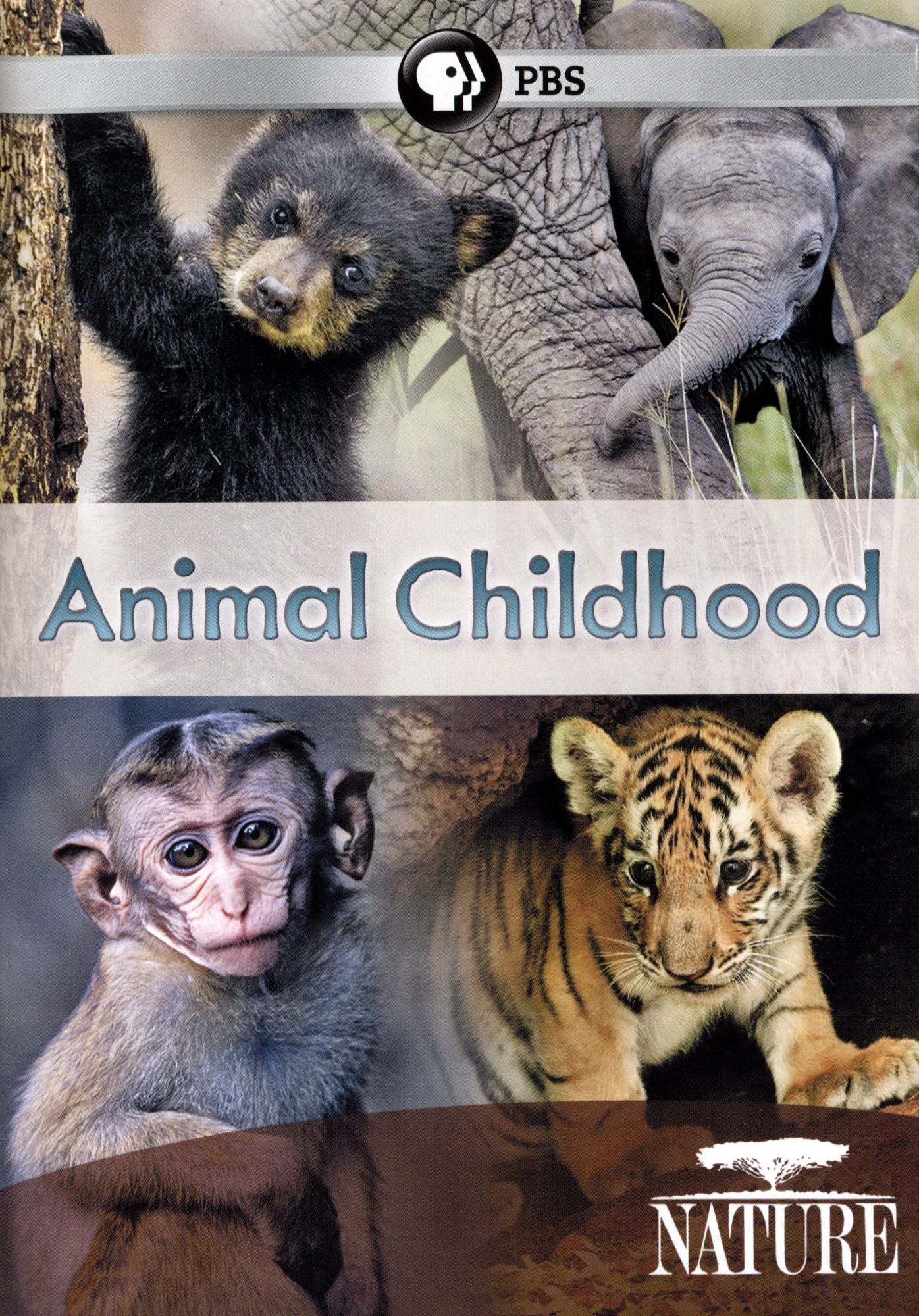 NATURE: ANIMAL CHILDHOOD