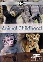 NATURE: ANIMAL CHILDHOOD
