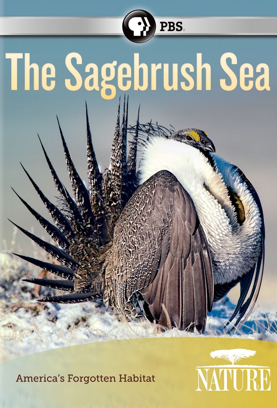 NATURE: THE SAGEBRUSH SEA