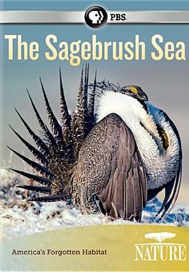 NATURE: THE SAGEBRUSH SEA