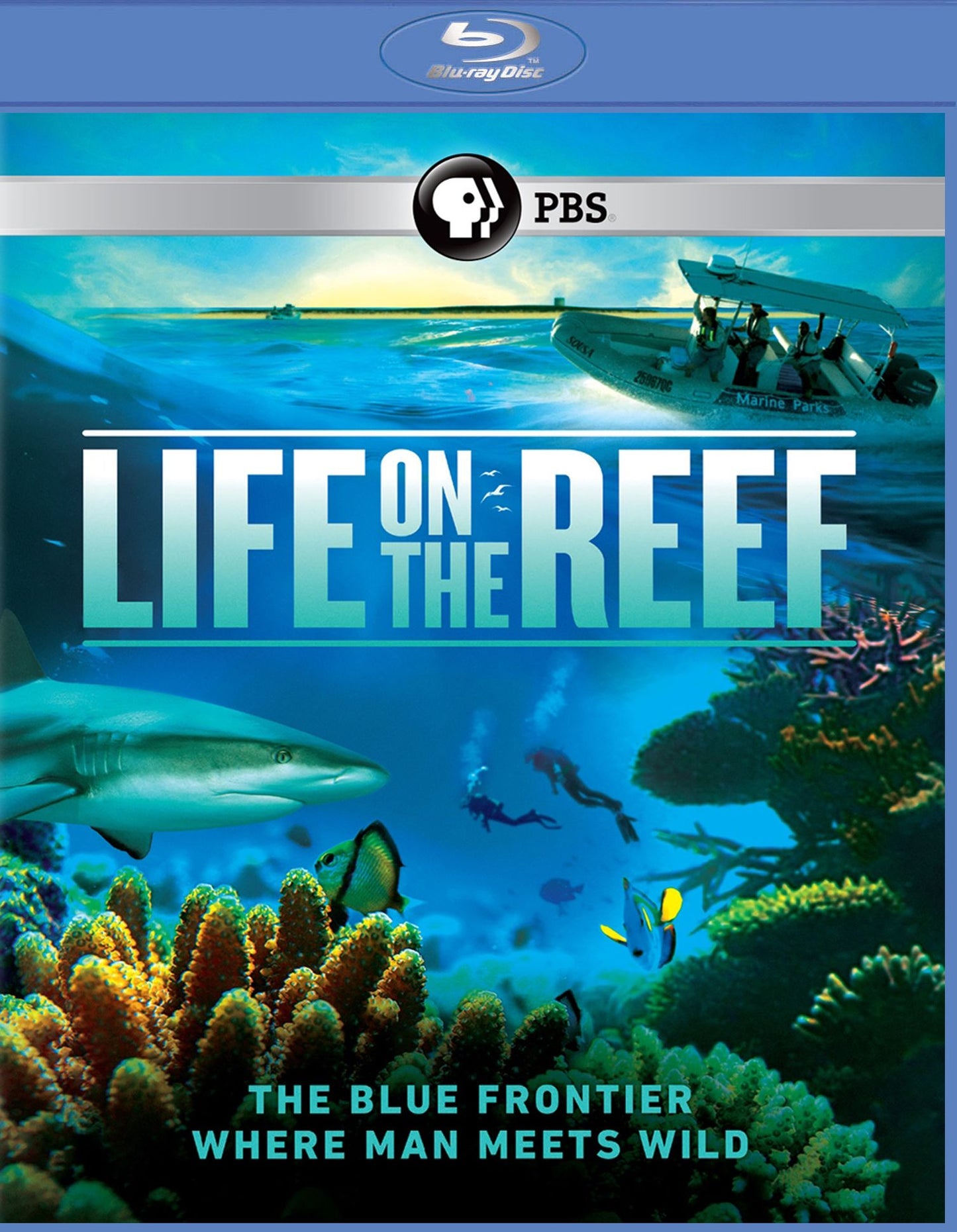 Life on the Reef [Blu-ray]