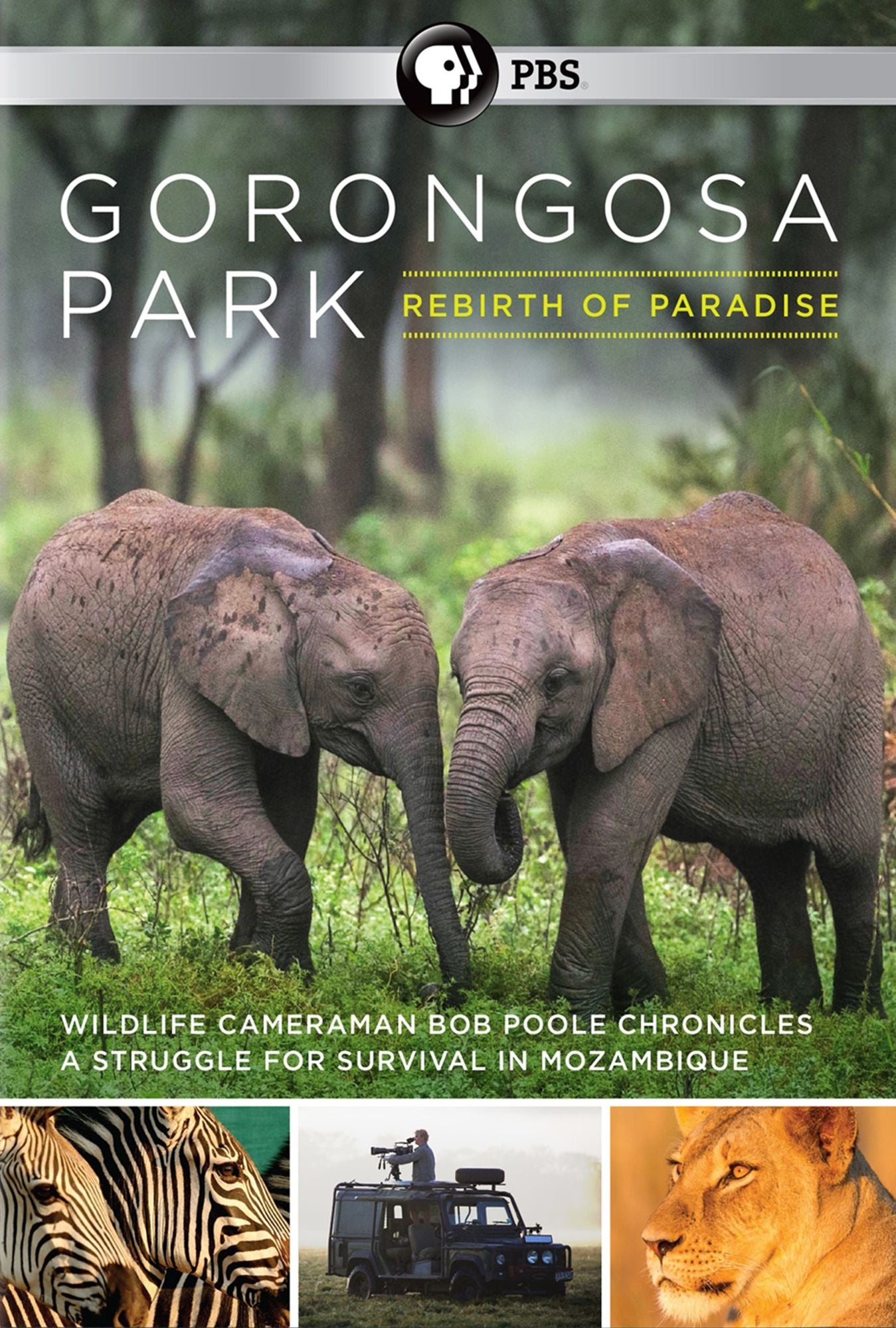 GORONGOSA PARK REBIRTH OF PARAD