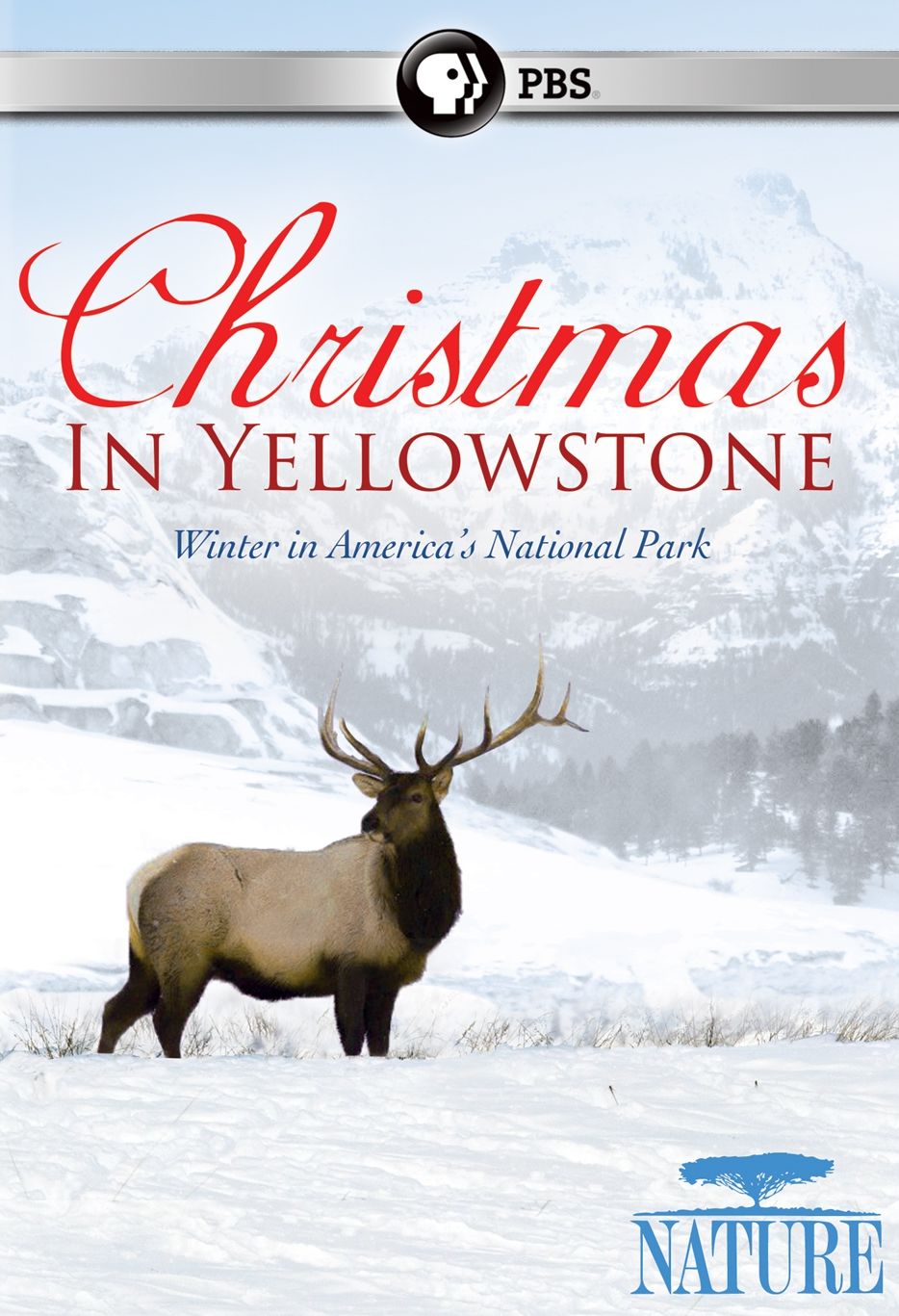 Nature: Christmas in Yellowstone