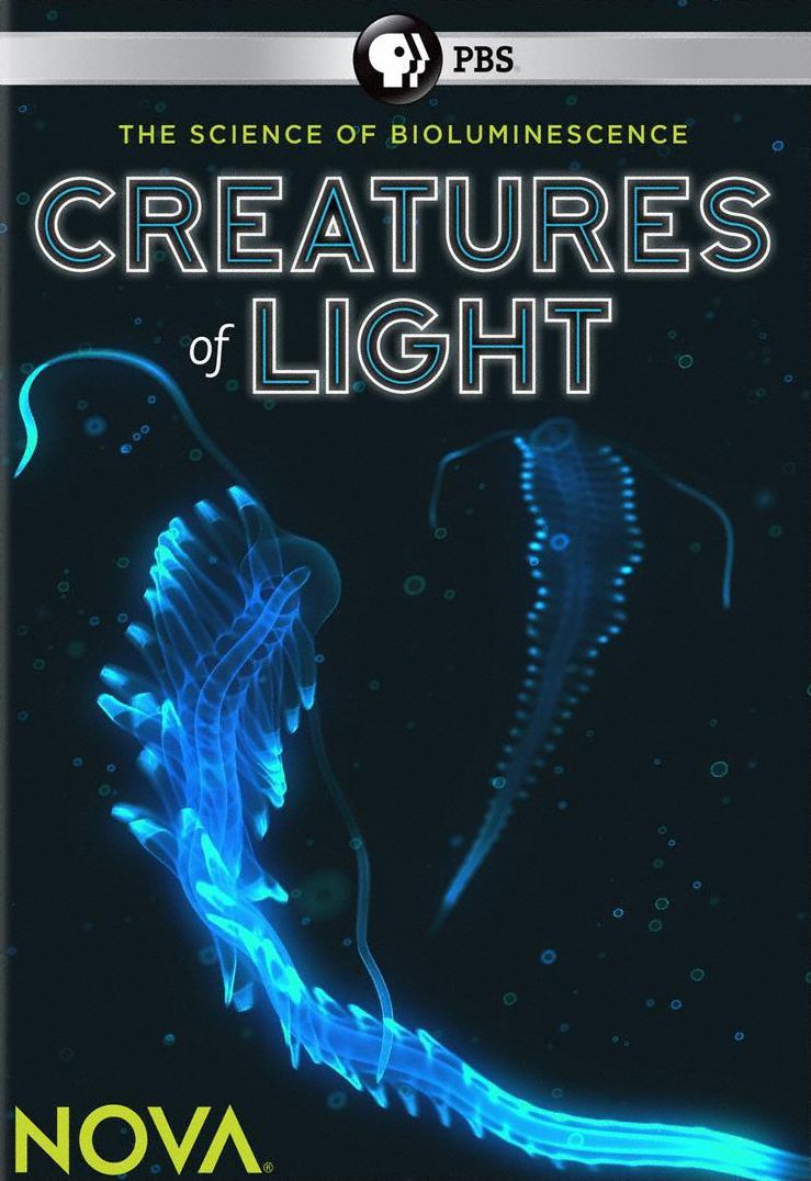 NOVA: CREATURES OF LIGHT