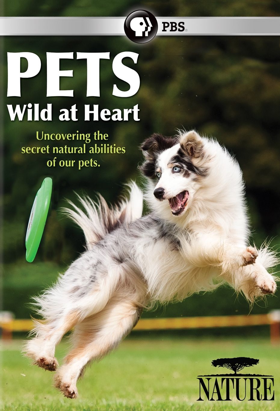 NATURE: PETS - WILD AT HEART