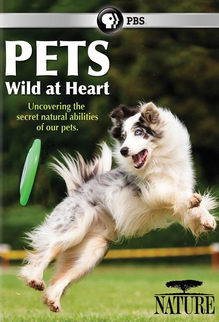 NATURE: PETS - WILD AT HEART