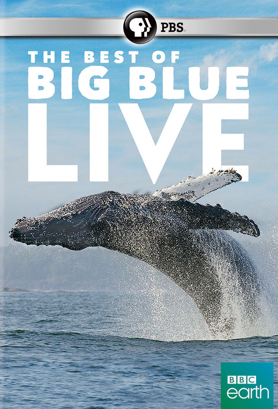 BIG BLUE LIVE