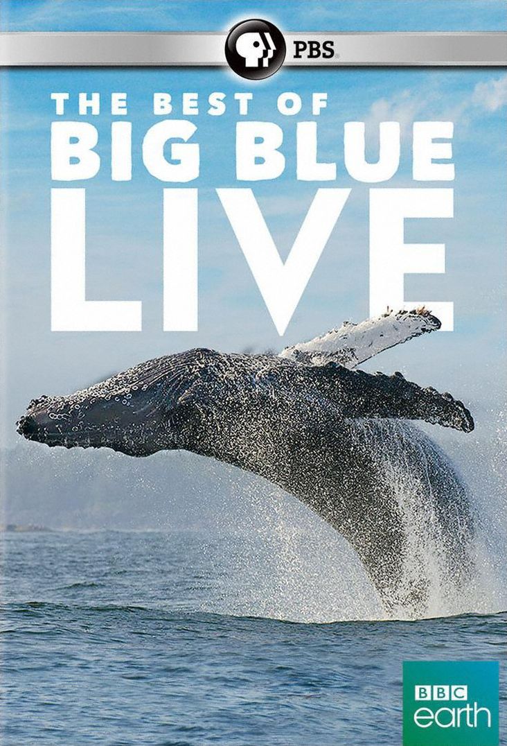 BIG BLUE LIVE