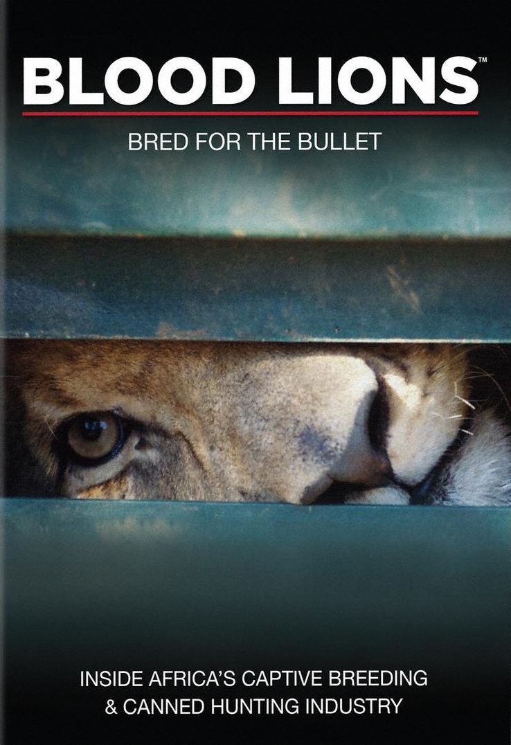 BLOOD LIONS