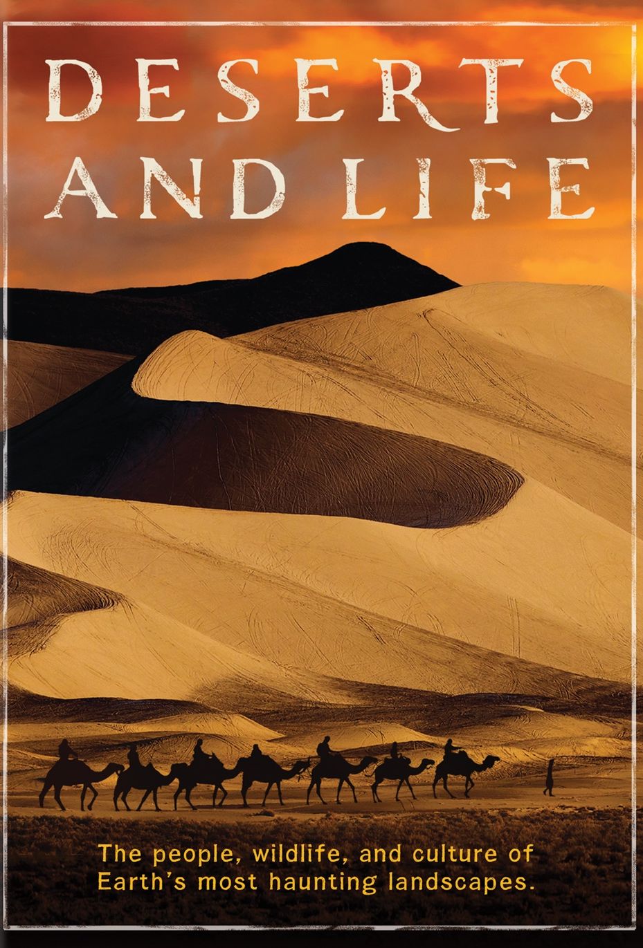 DESERTS & LIFE / (2PC)