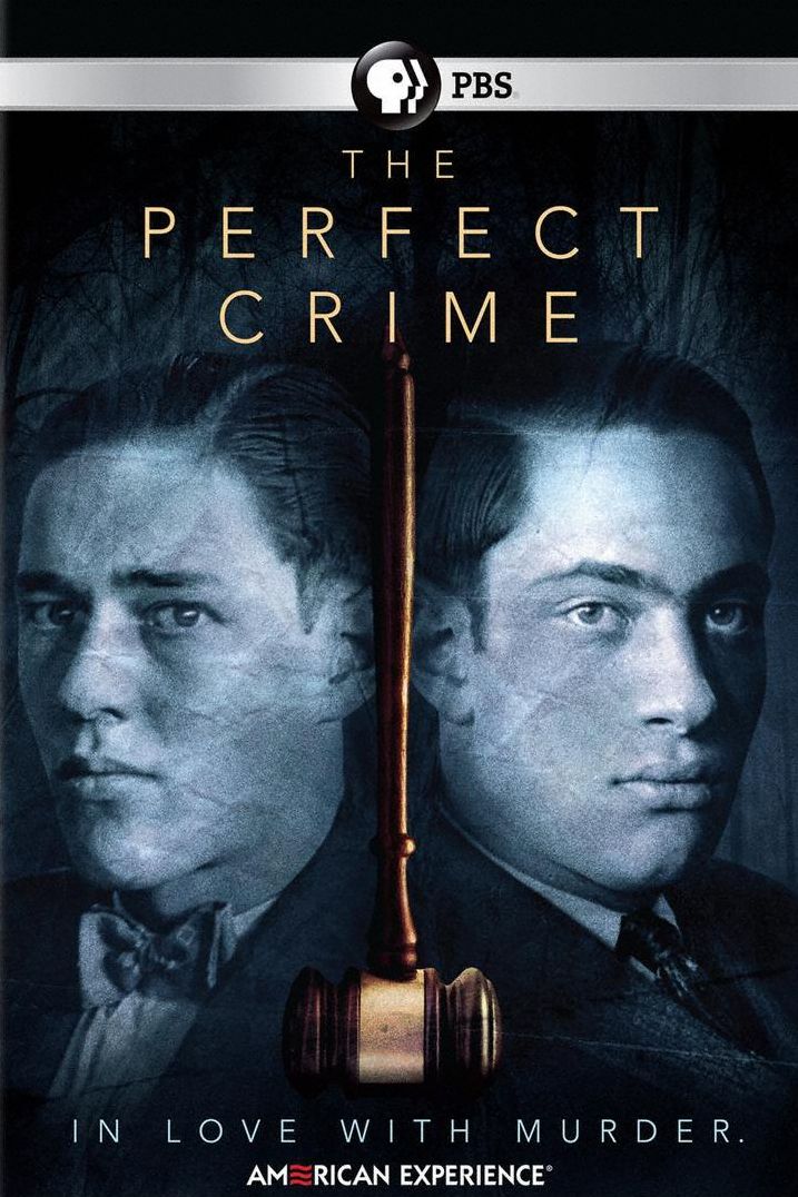 American Experience: The Perfect Crime