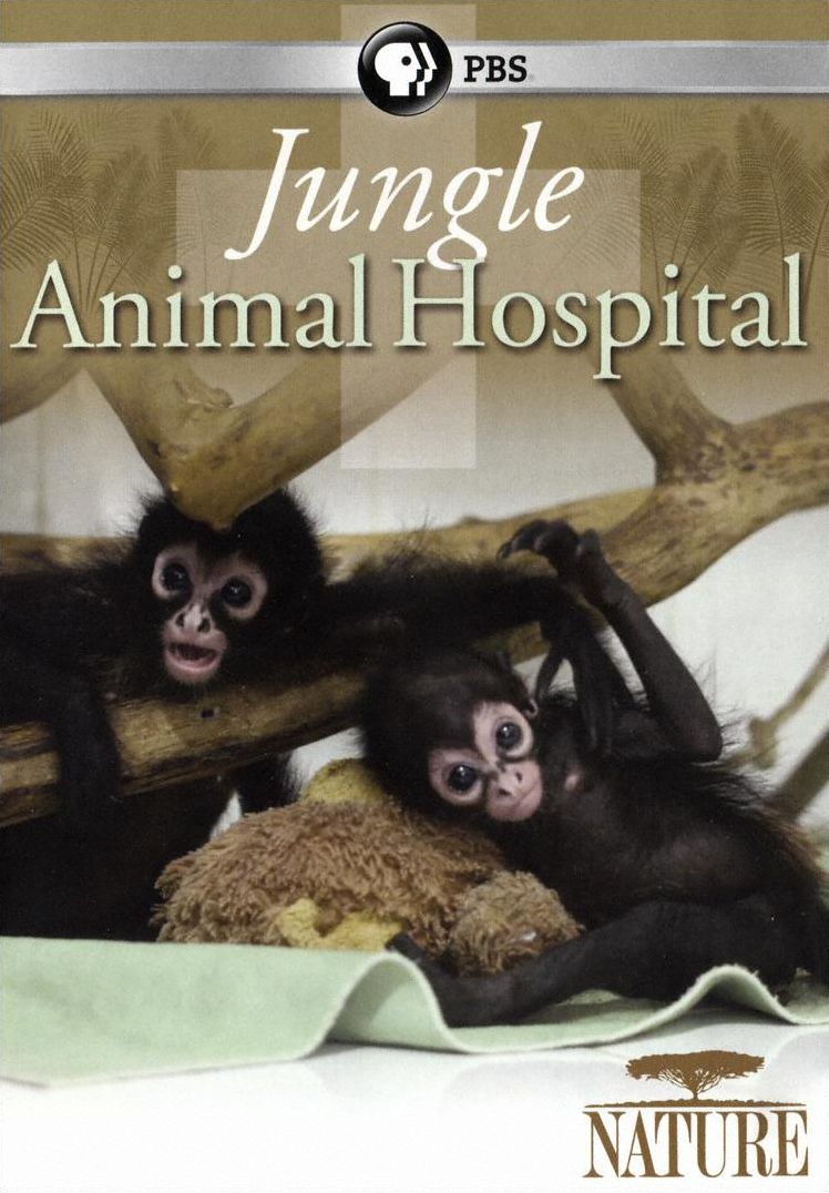 JUNGLE ANIMAL HOSPITAL