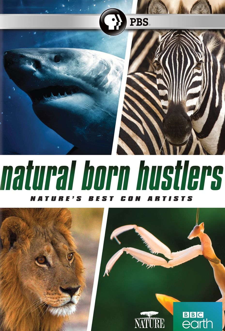 NATURE: NATURAL BORN HUSTLERS