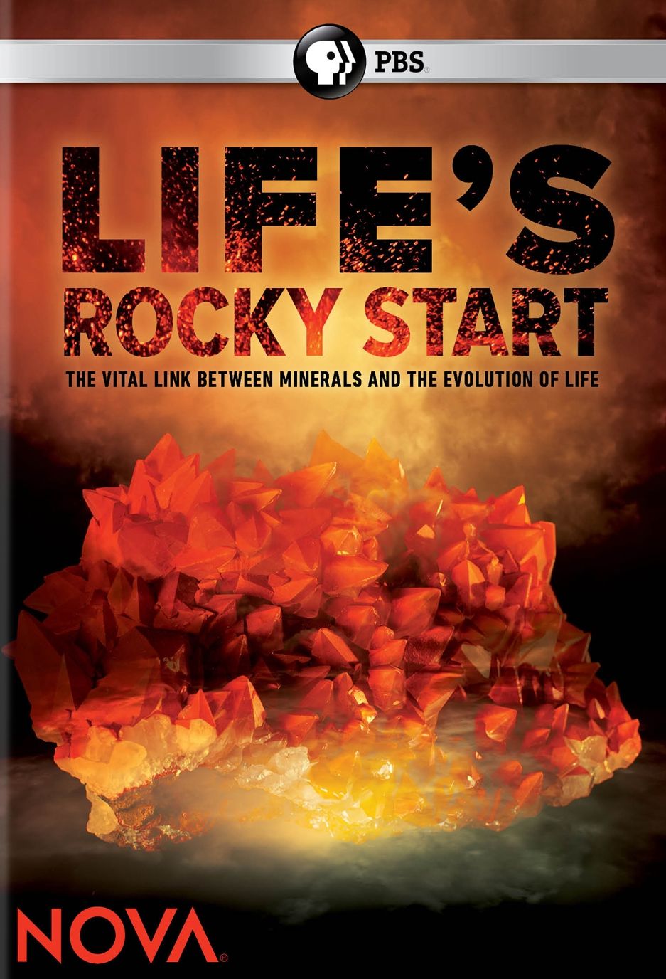 NOVA: LIFE'S ROCKY START
