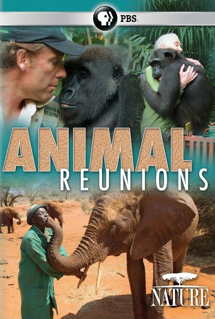 NATURE: ANIMAL REUNIONS