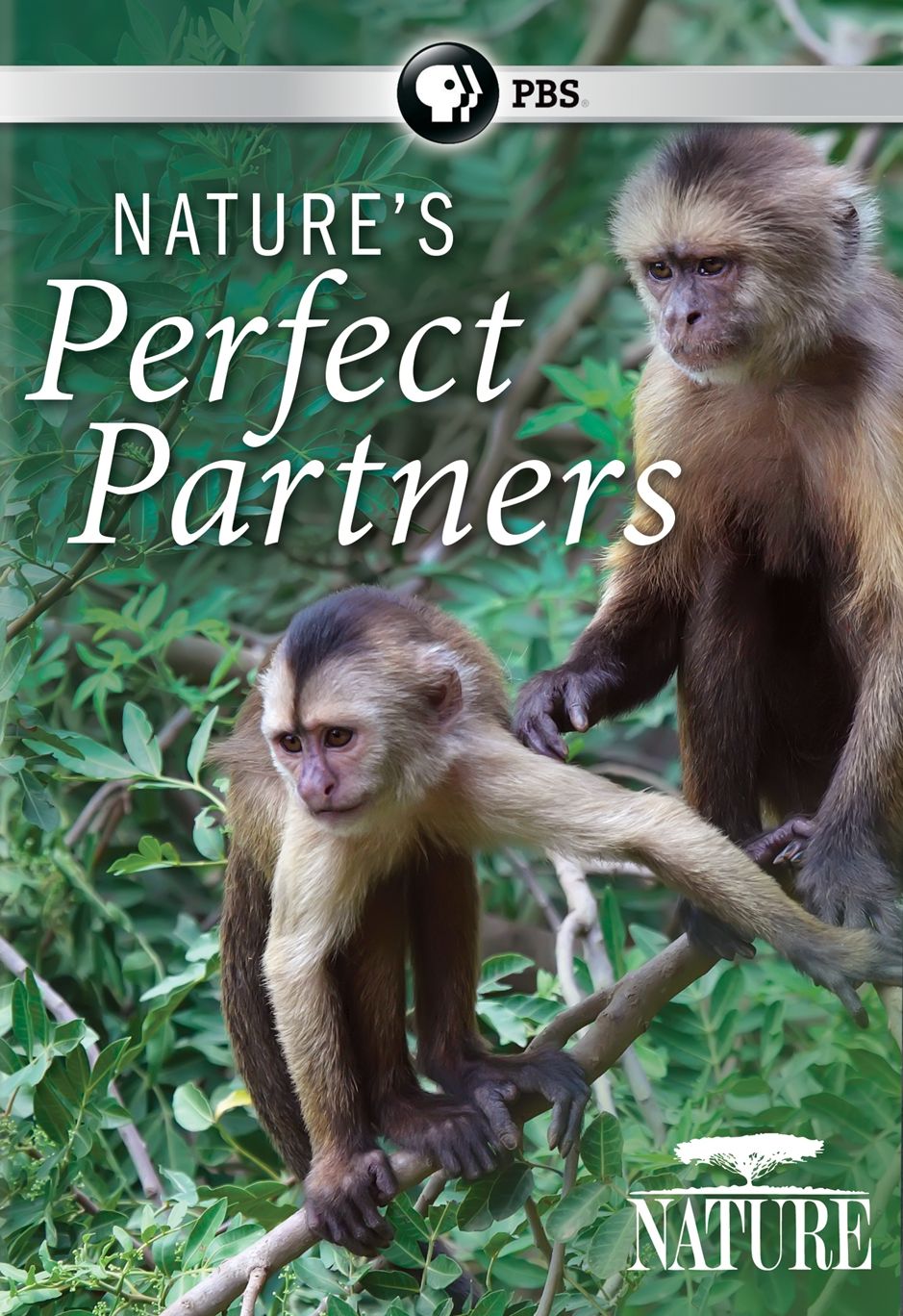 Nature: Nature's Perfect Partners