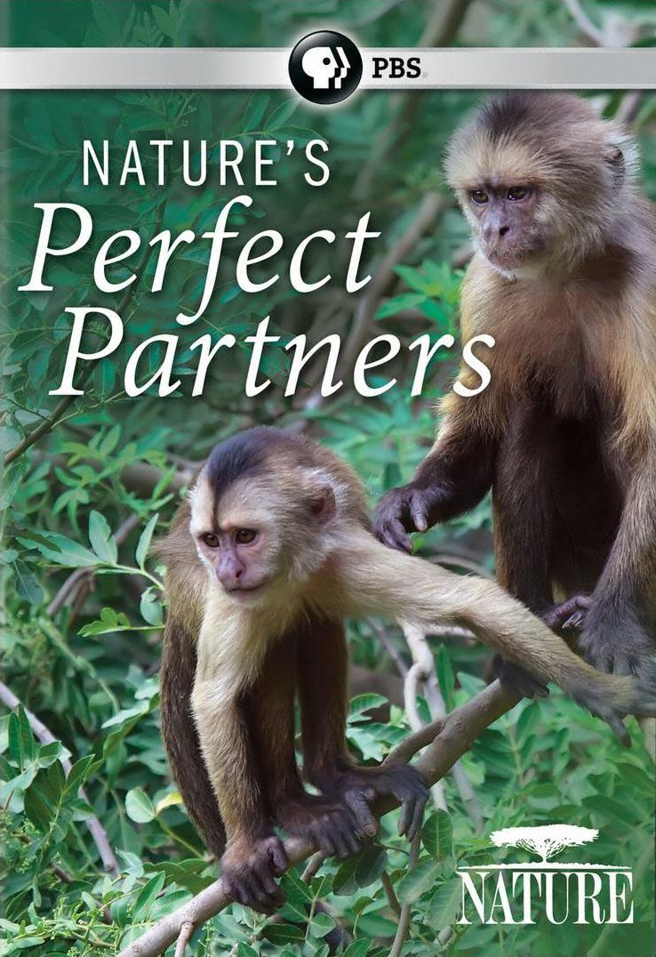 Nature: Nature's Perfect Partners