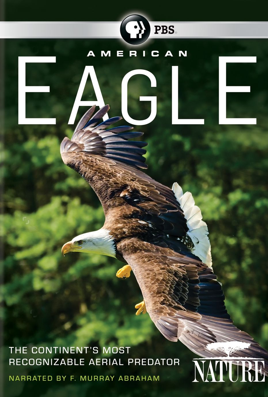 AMERICAN EAGLE