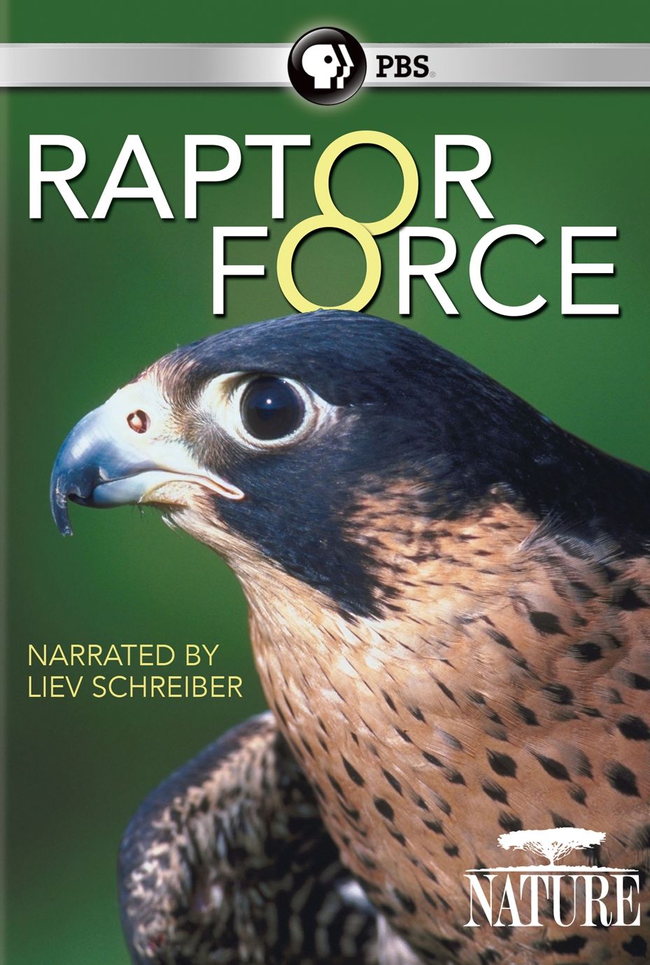 RAPTOR FORCE