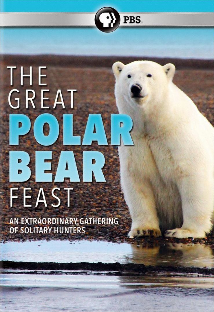 GREAT POLAR BEAR FEAST
