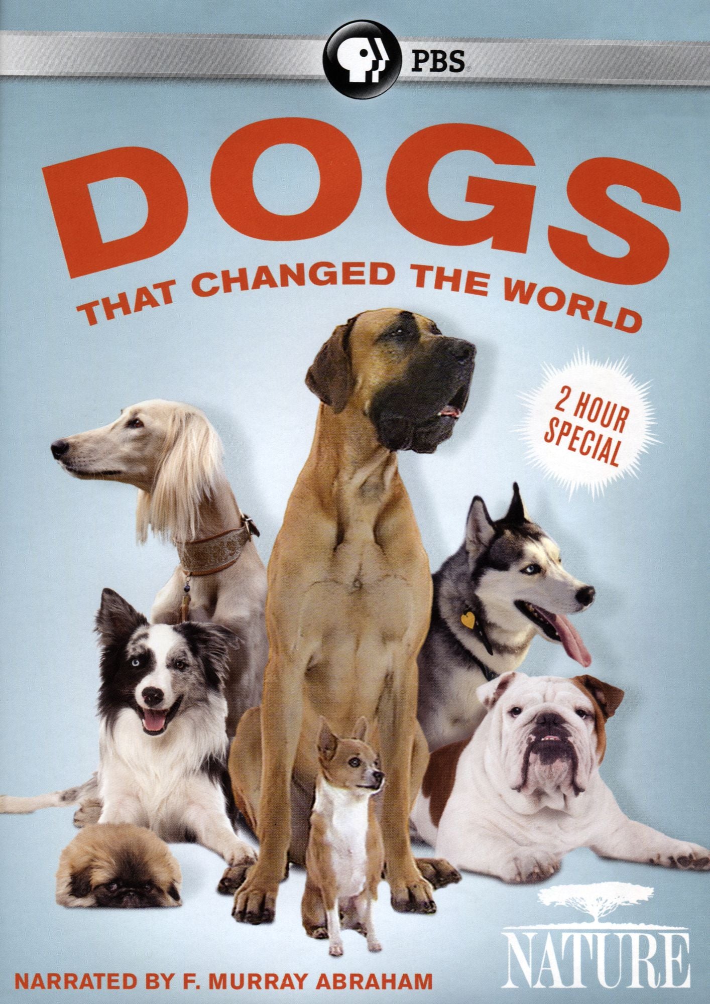 DOGS THAT CHANGED THE WORLD
