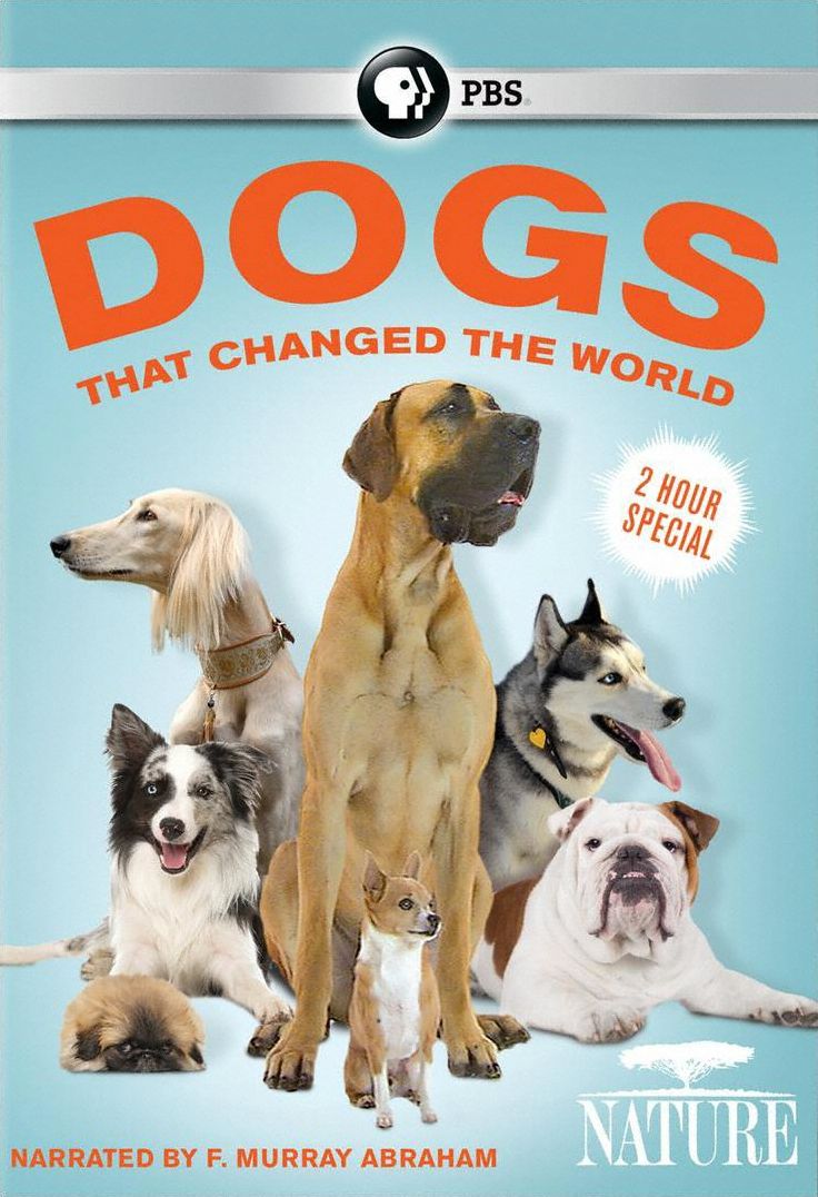 DOGS THAT CHANGED THE WORLD