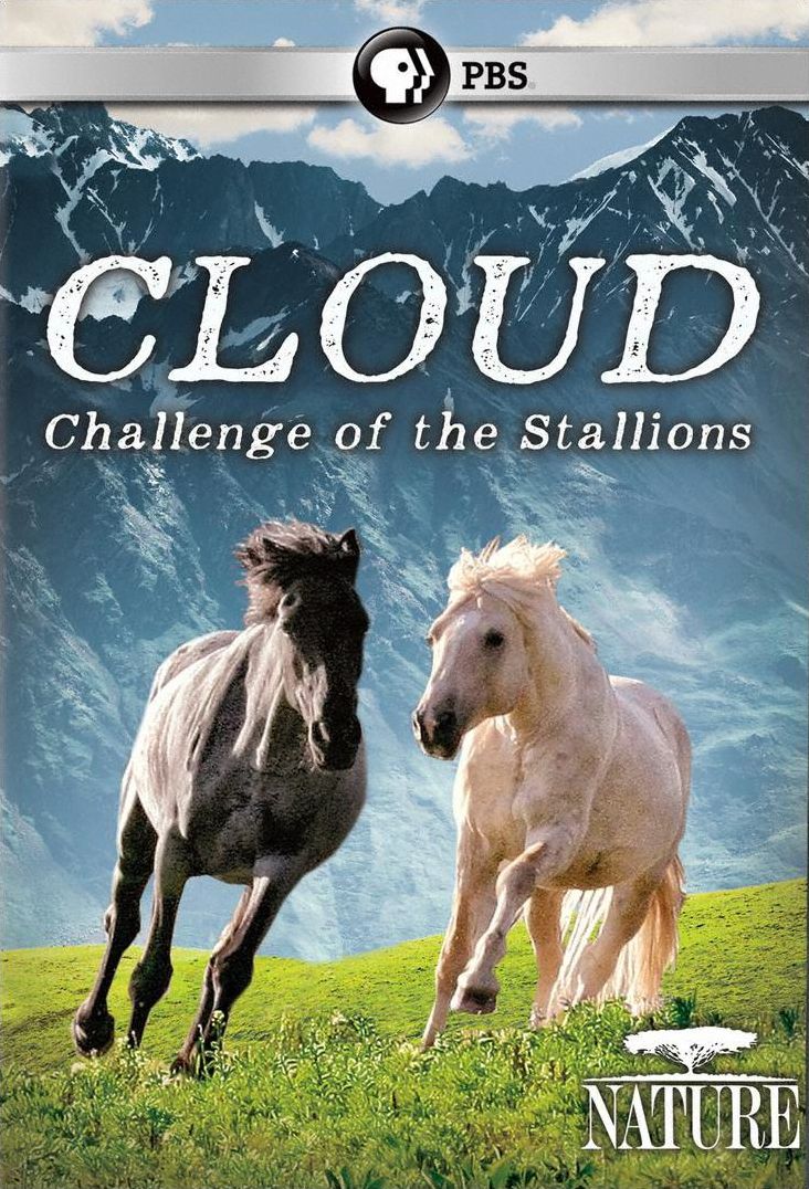 CLOUD CHALLENGE OF THE STALLION