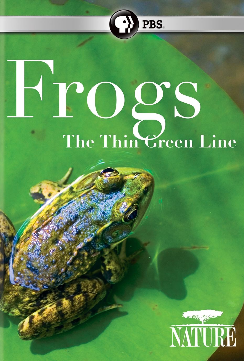 Nature: Frogs: The Thin Green Line