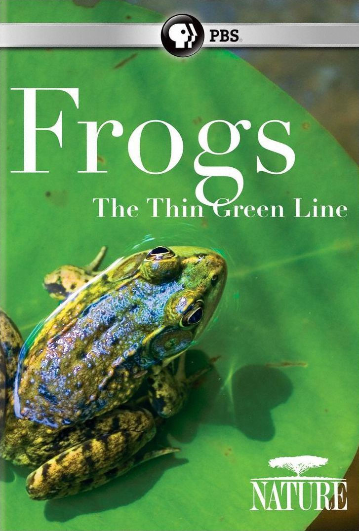 Nature: Frogs: The Thin Green Line