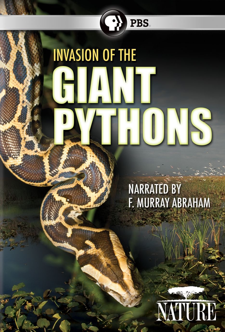 Nature: Invasion of the Giant Pythons