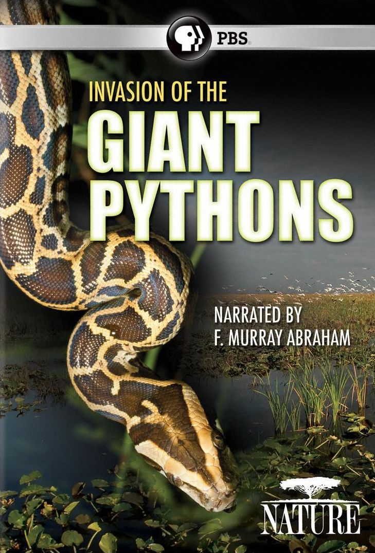 Nature: Invasion of the Giant Pythons