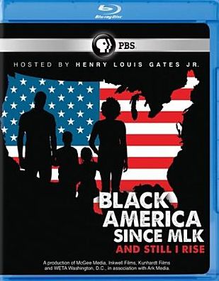 Black America Since Mlk: And Still I Rise