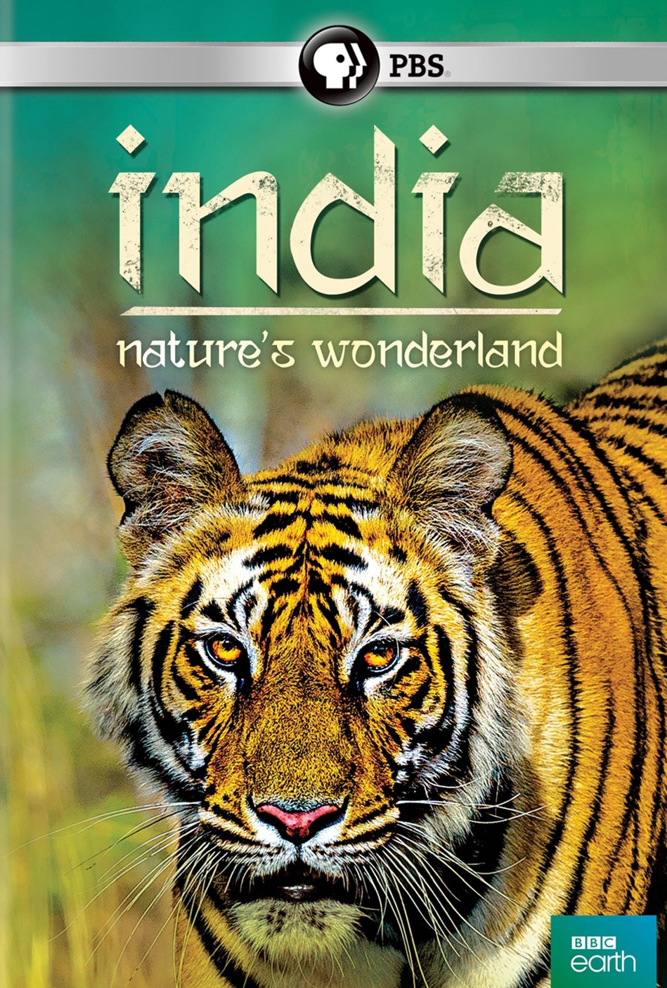India: Nature's Wonderland