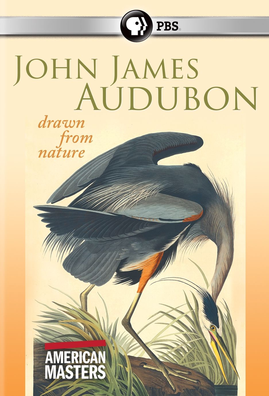 American Masters: John James Audubon - Drawn From Nature