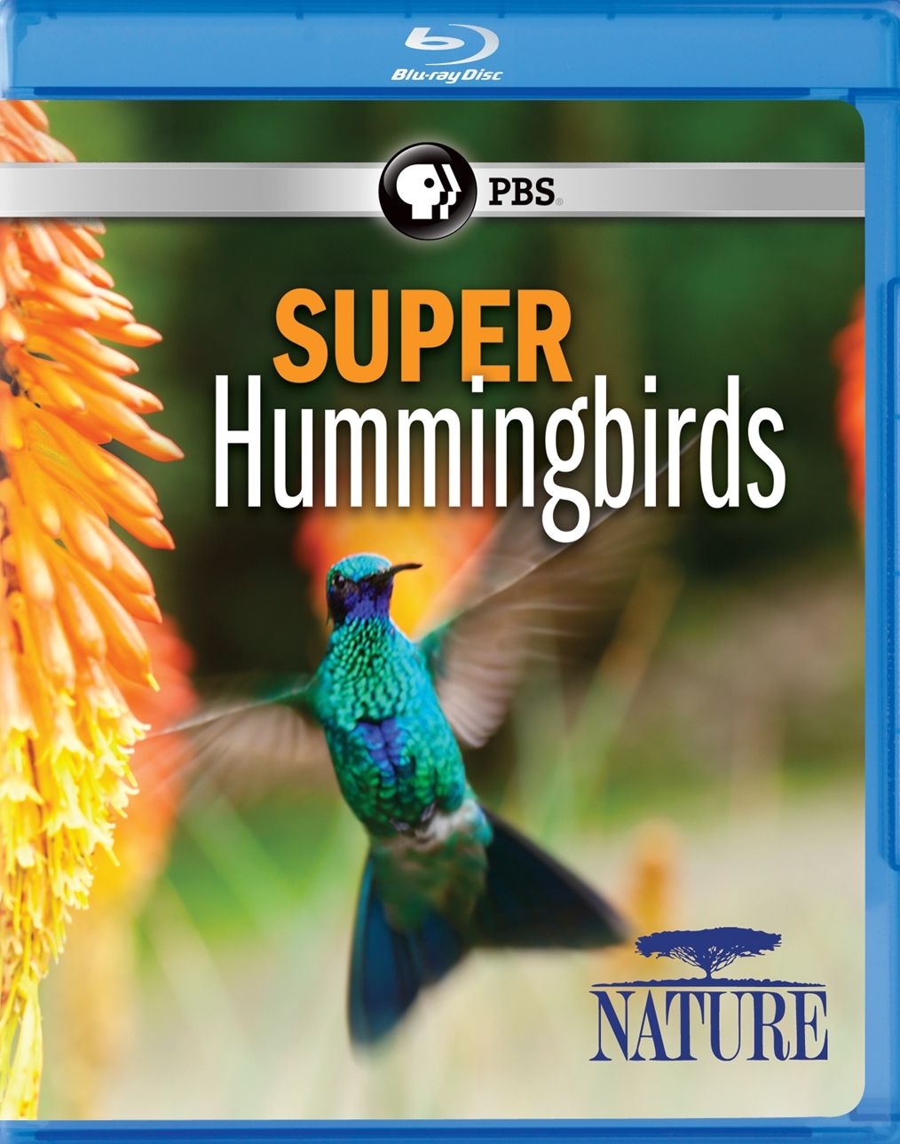 Nature: Super Hummingbirds [Blu-ray]