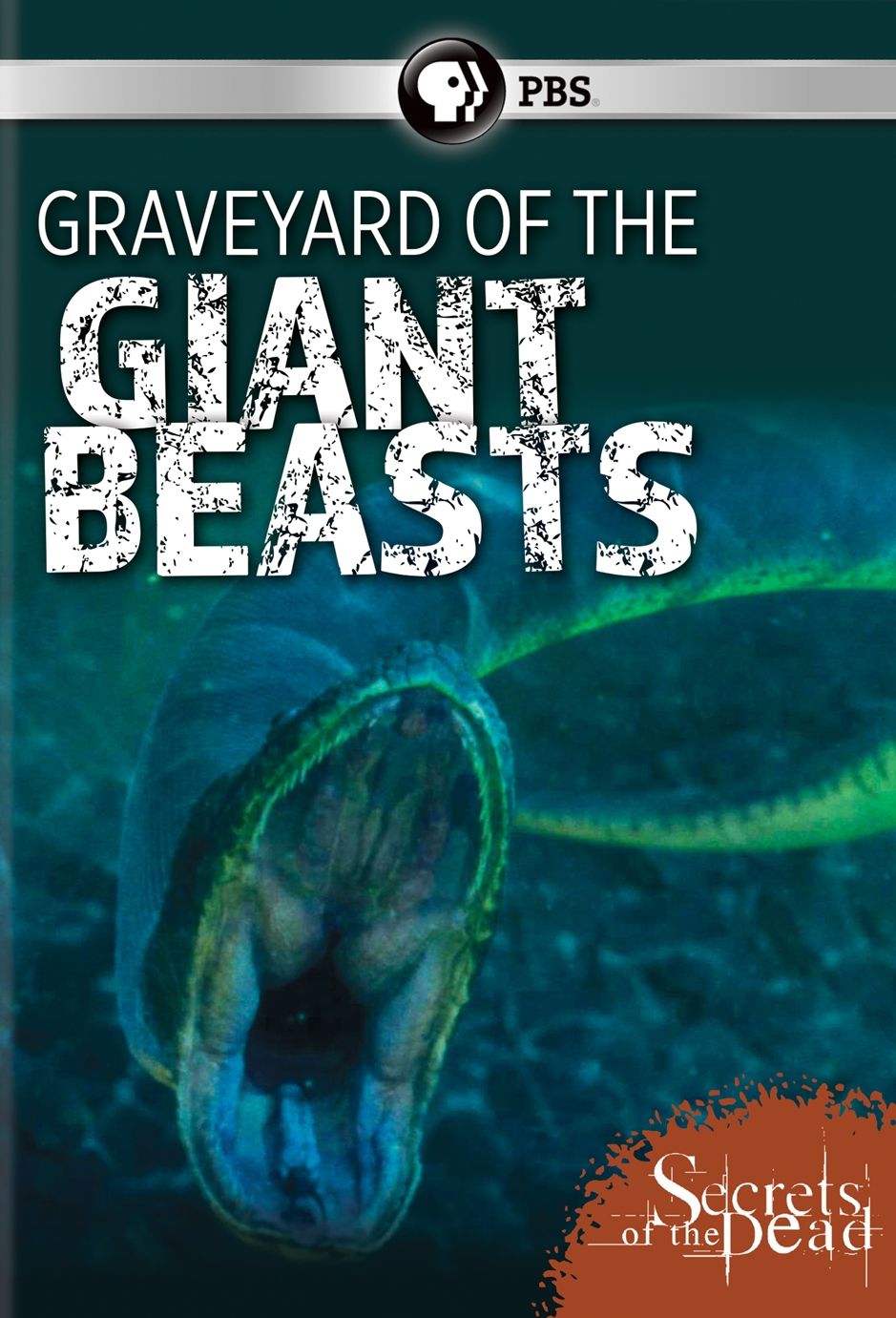 Secrets of the Dead: Graveyard of the Giant Beasts