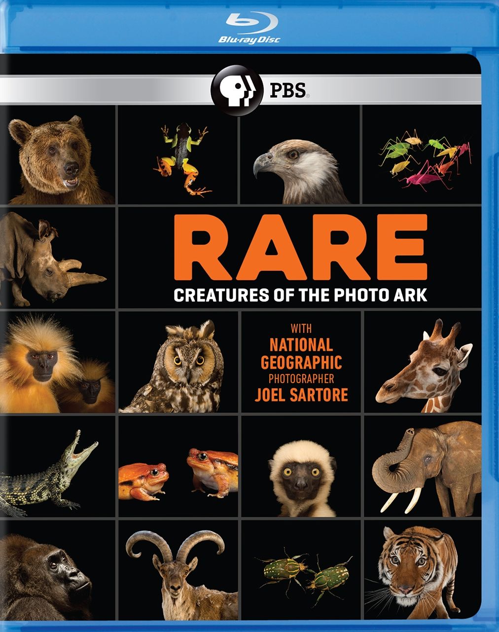 Rare: Creatures Of The Photo Ark