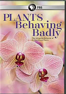 Plants Behaving Badly