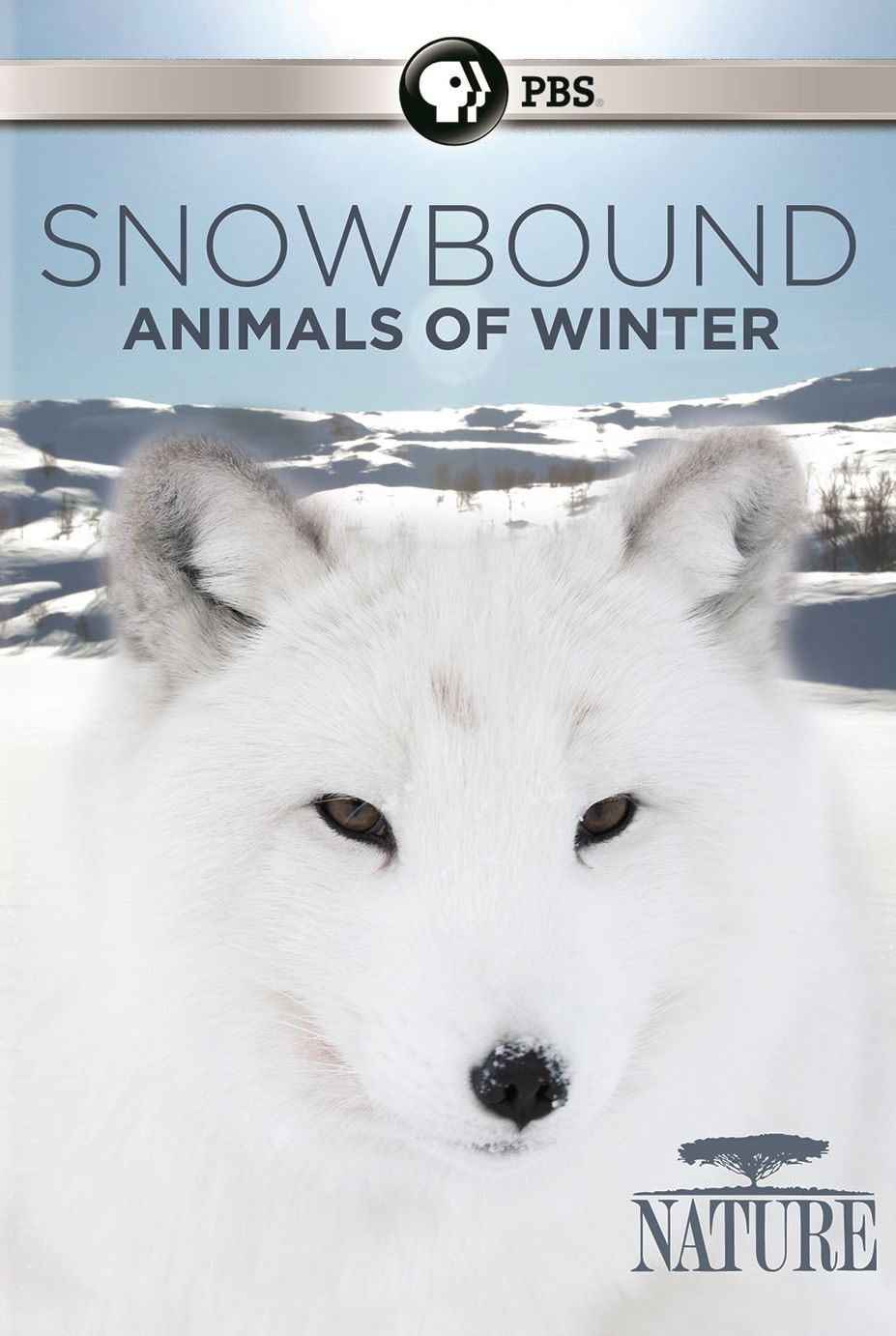Nature: Snowbound - Animals Of Winter