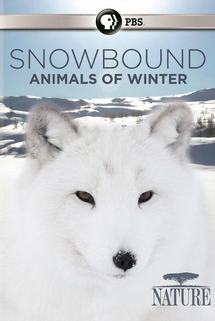Nature: Snowbound - Animals Of Winter