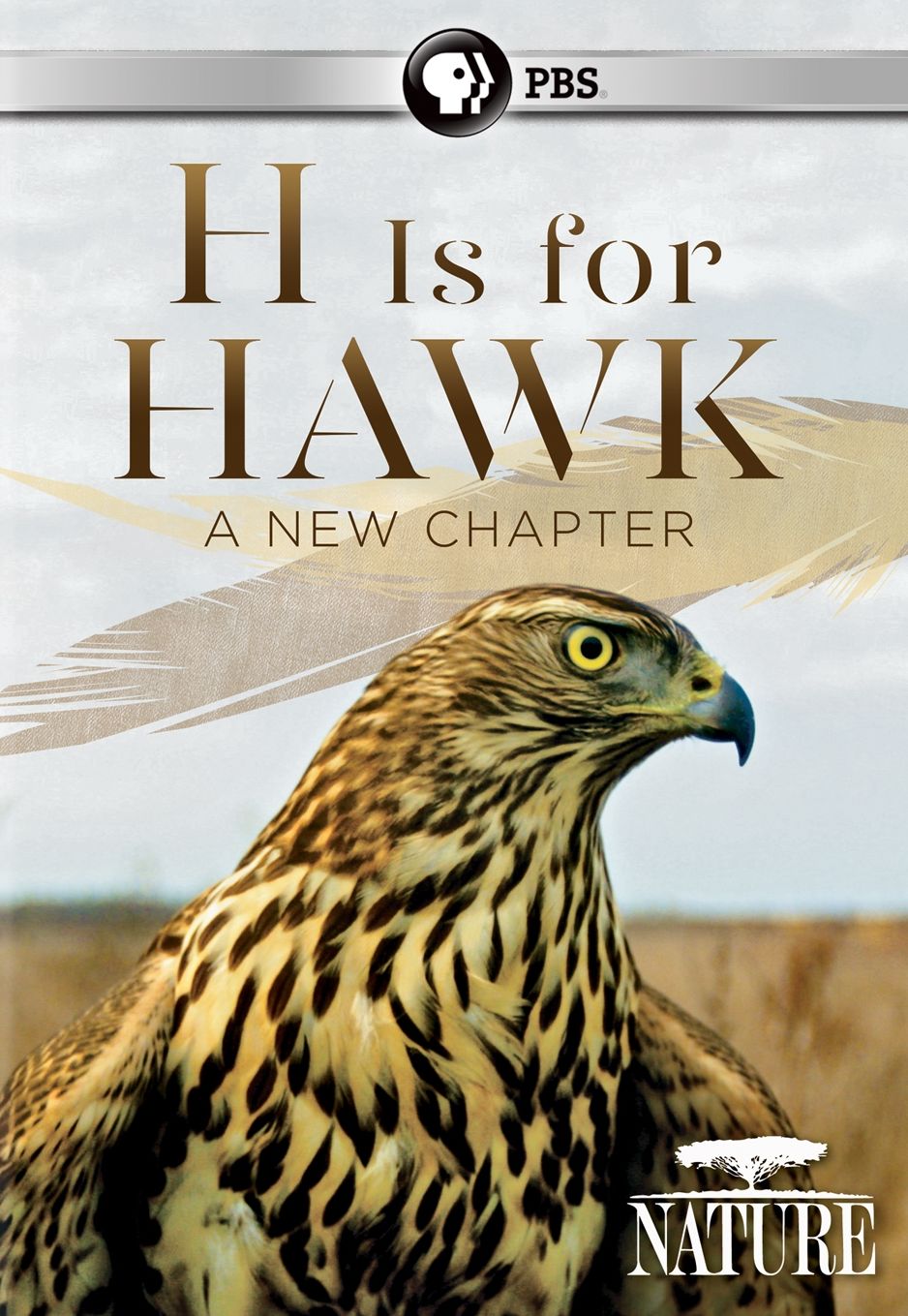 Nature: H Is For Hawk