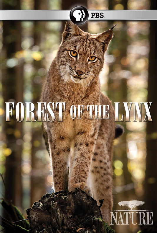 Nature: Forest of the Lynx