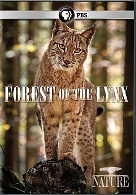 Nature: Forest of the Lynx